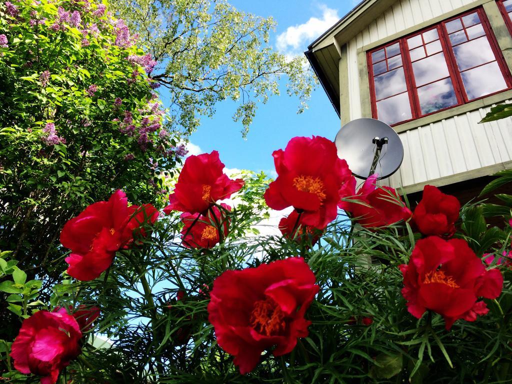 Sweden Slow Living Gosunda Exteriér fotografie